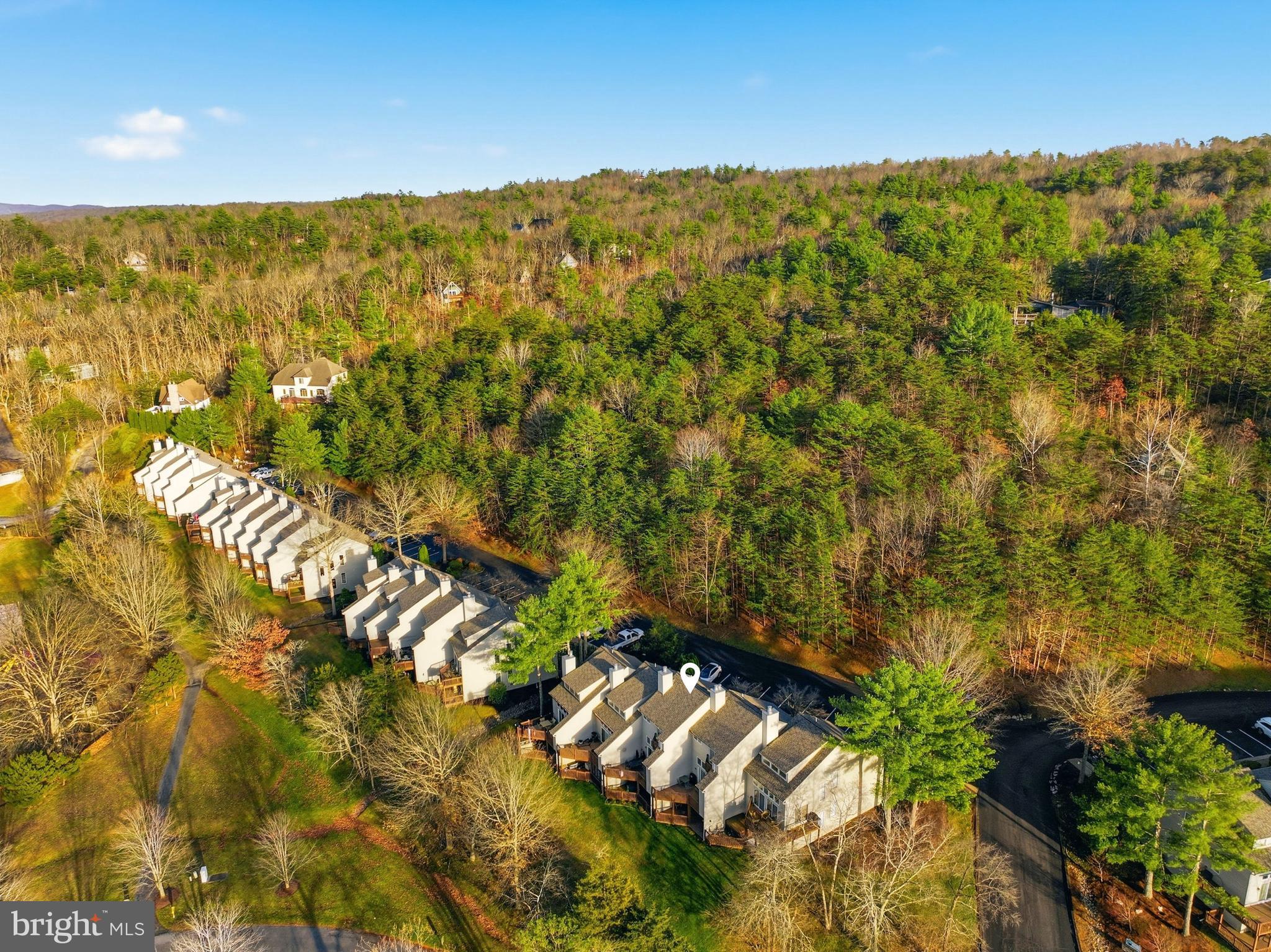 85 Ridge Court, Unit 3 Basye, VA 22842 - Photo 50 of 58 Resort