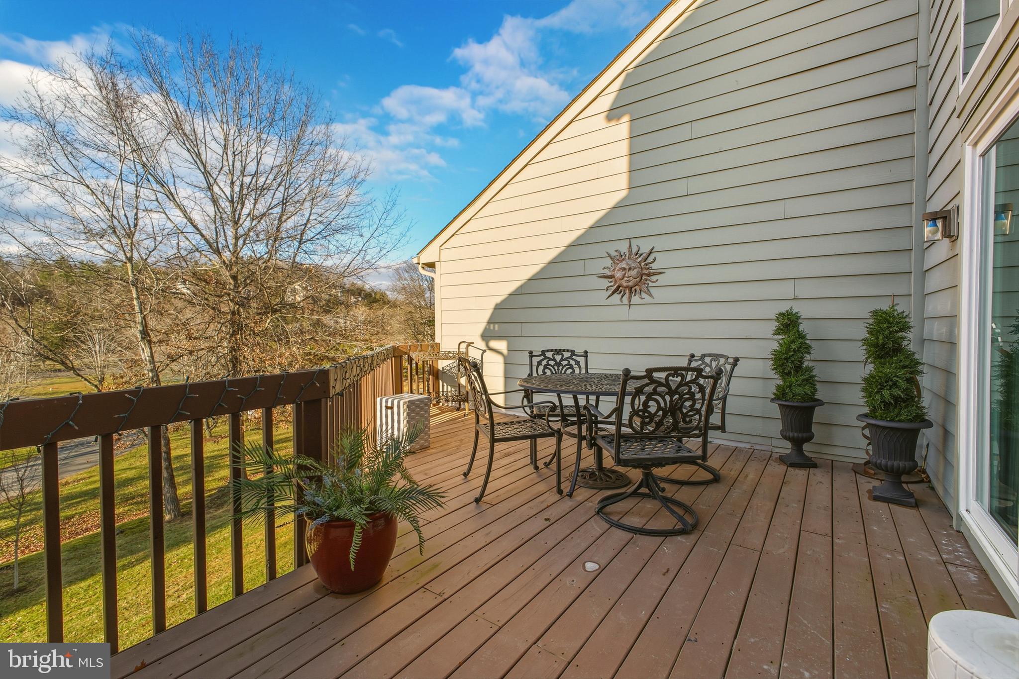 85 Ridge Court, Unit 3 Basye, VA 22842 - Photo 6 of 58 Back Deck - Views