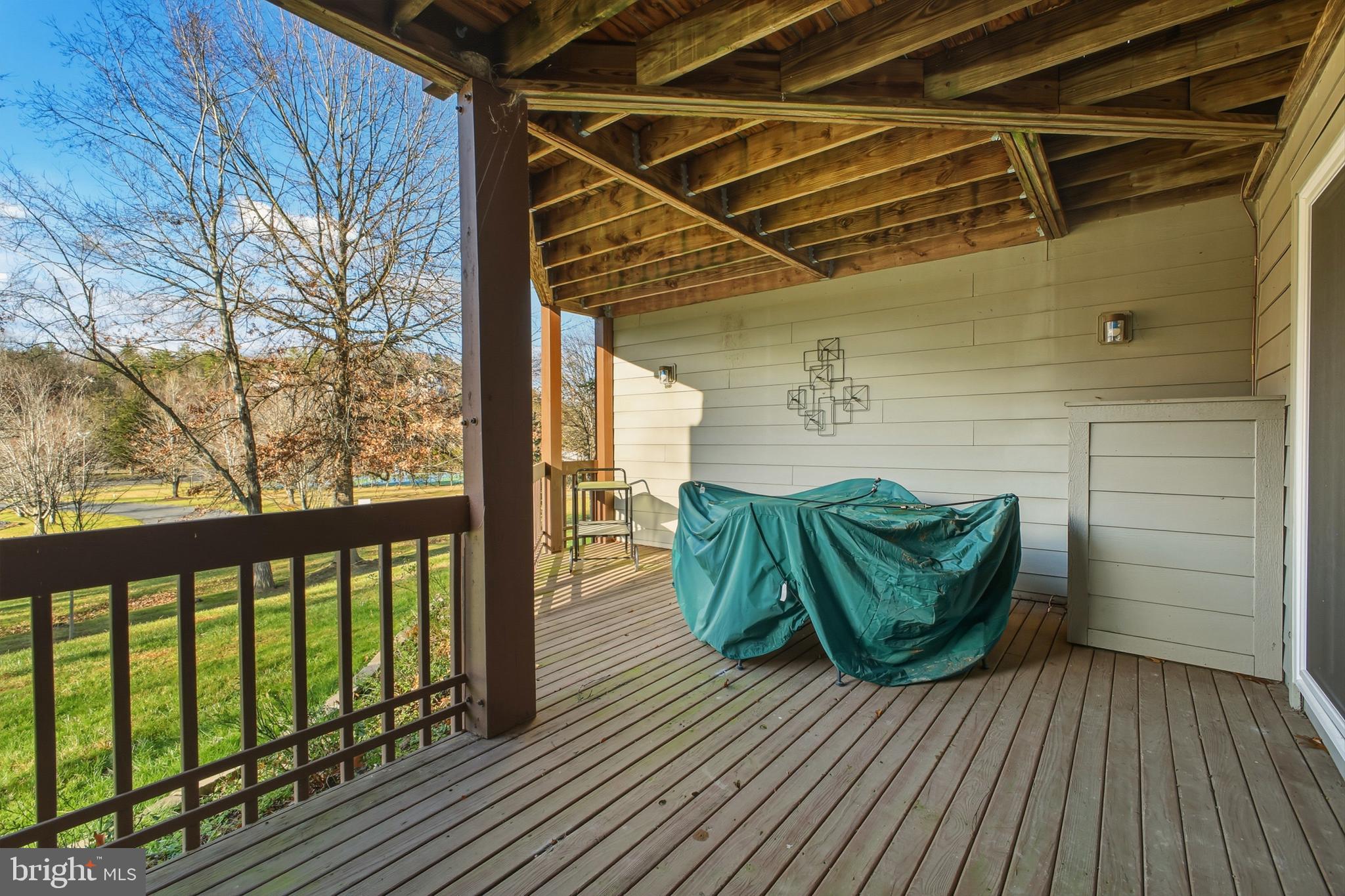85 Ridge Court, Unit 3 Basye, VA 22842 - Photo 8 of 58 Lower Deck