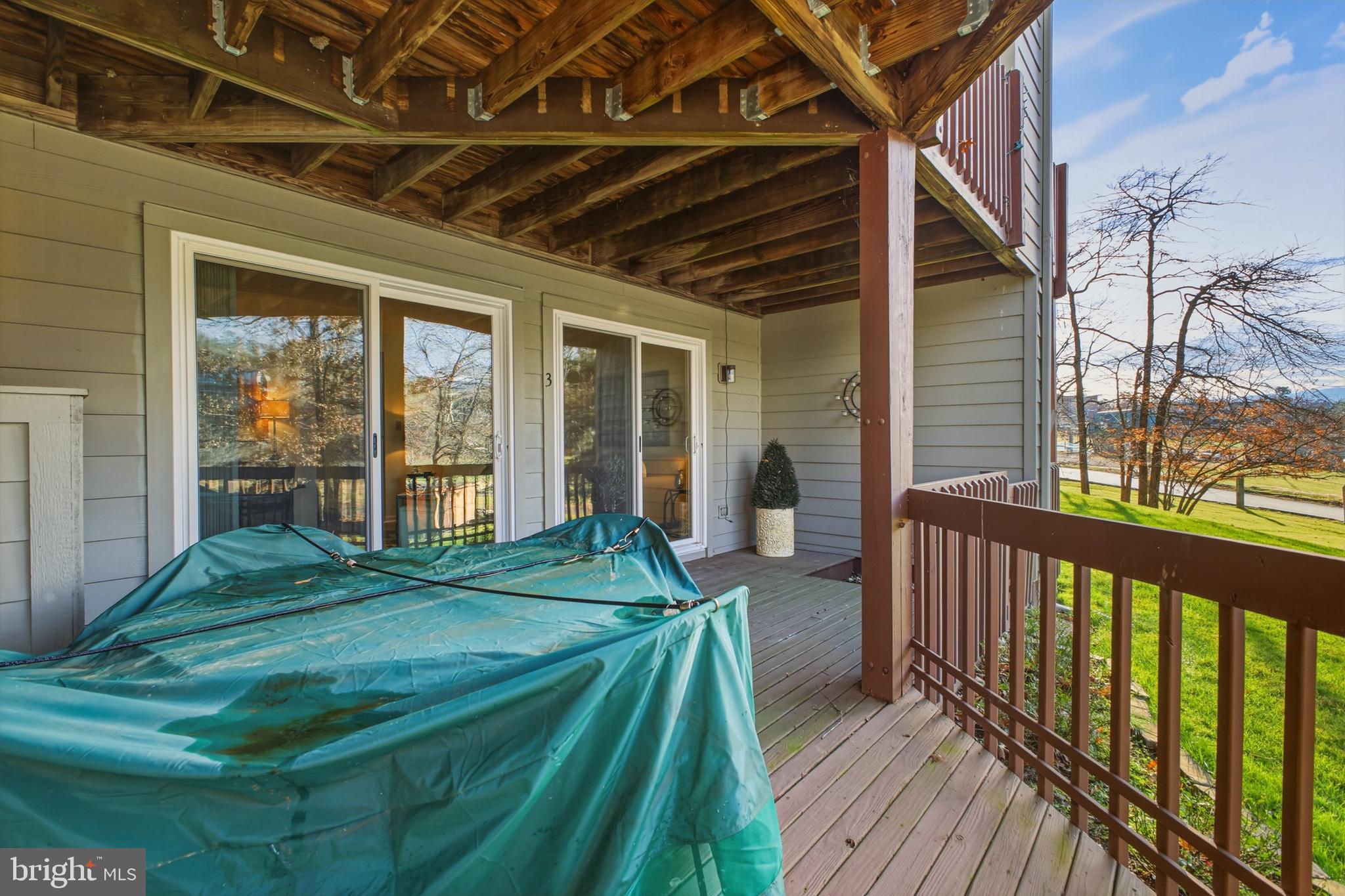 85 Ridge Court, Unit 3 Basye, VA 22842 - Photo 9 of 58 Lower Deck