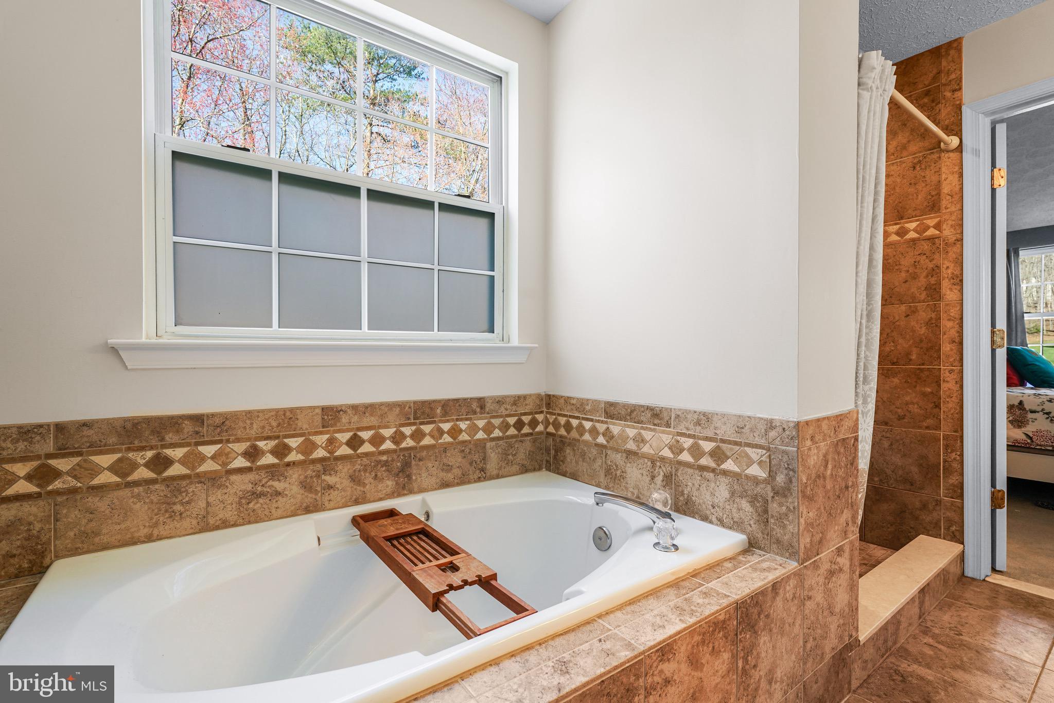 18 Beaver Court Rising Sun, MD 21911 - Photo 27 of 52 Master Bath