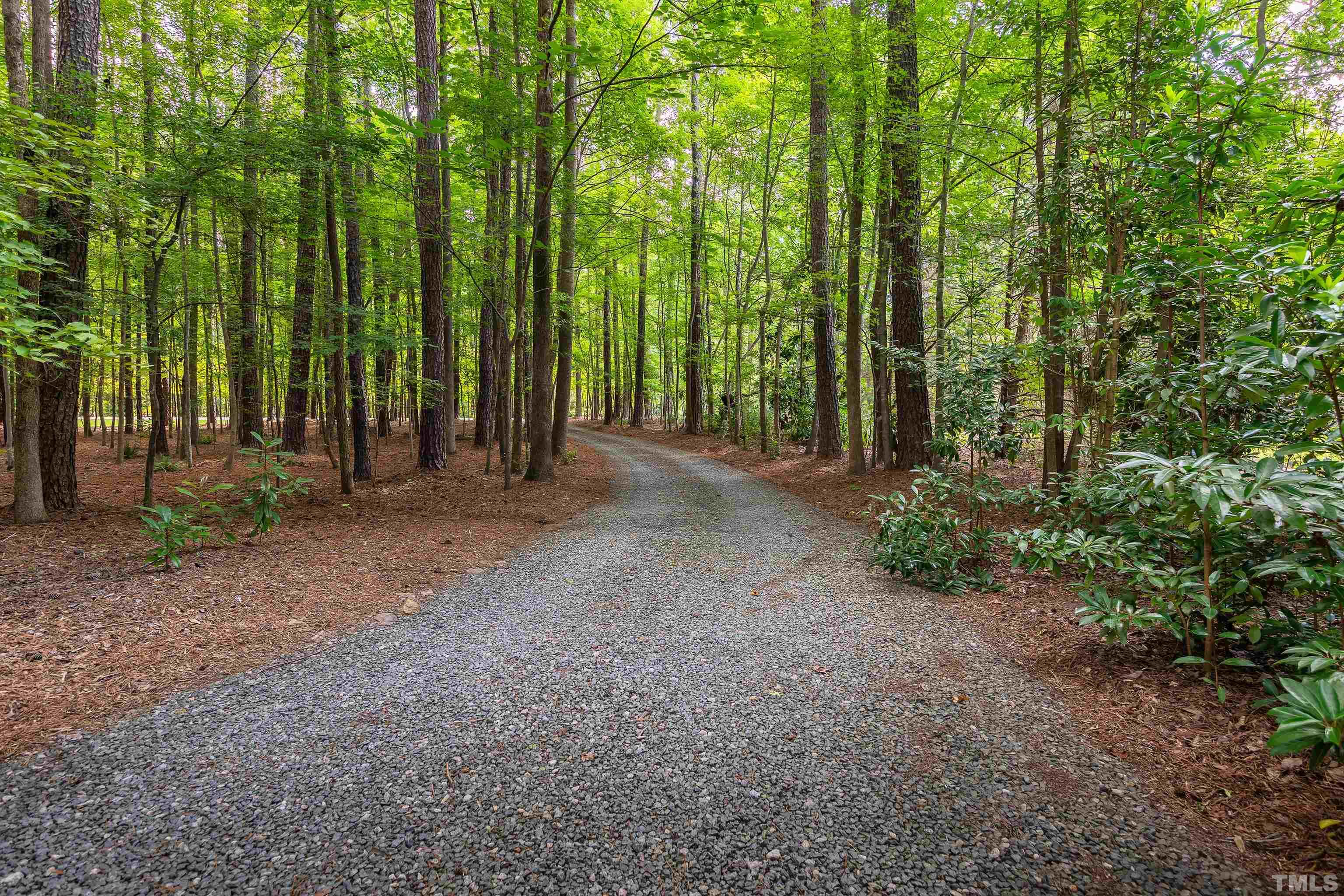 12217 Old Creedmoor Road Raleigh, NC 27613 - Photo 34 of 41 a view of outdoor space and trees