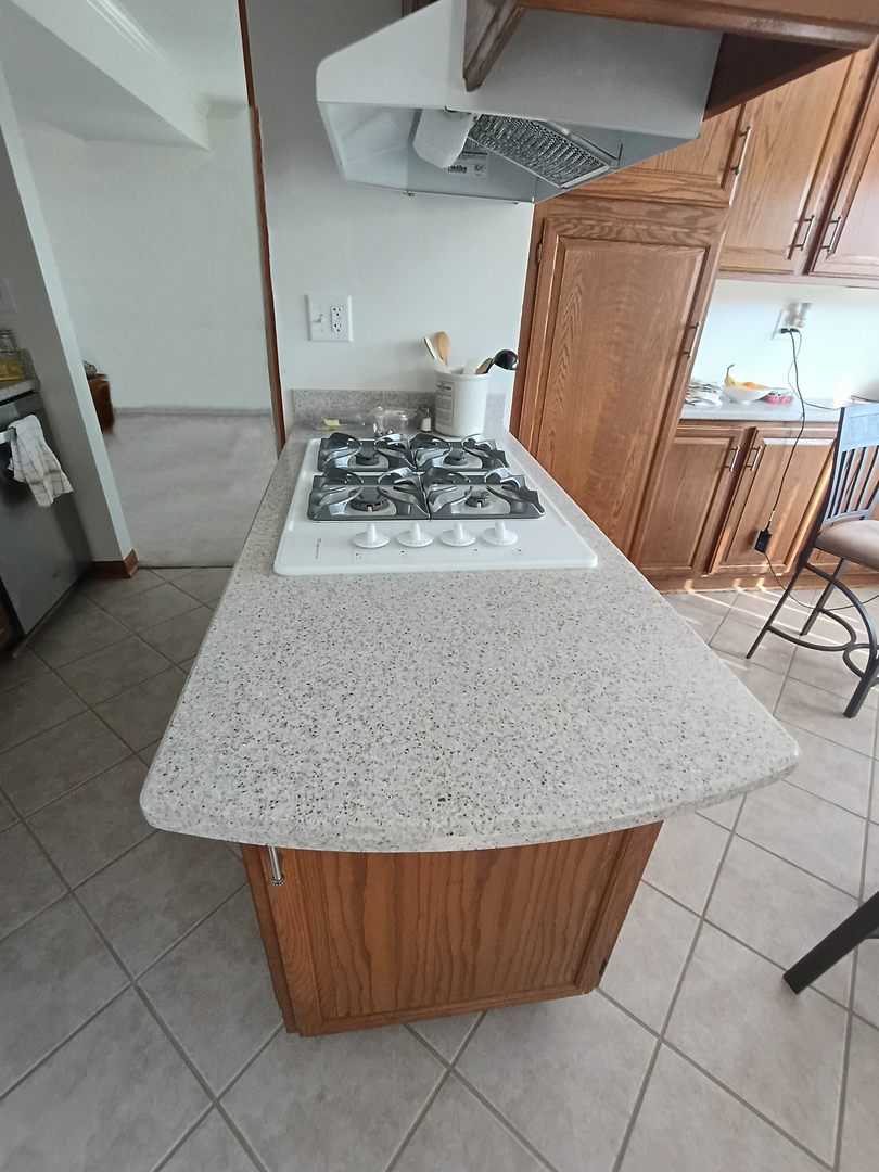 1367 South Elizabeth Street Lombard, IL 60148 - Photo 13 of 21 a view of utility room