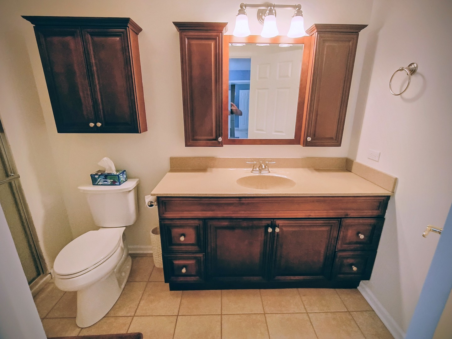 1367 South Elizabeth Street Lombard, IL 60148 - Photo 15 of 21 a bathroom with a sink and a toilet