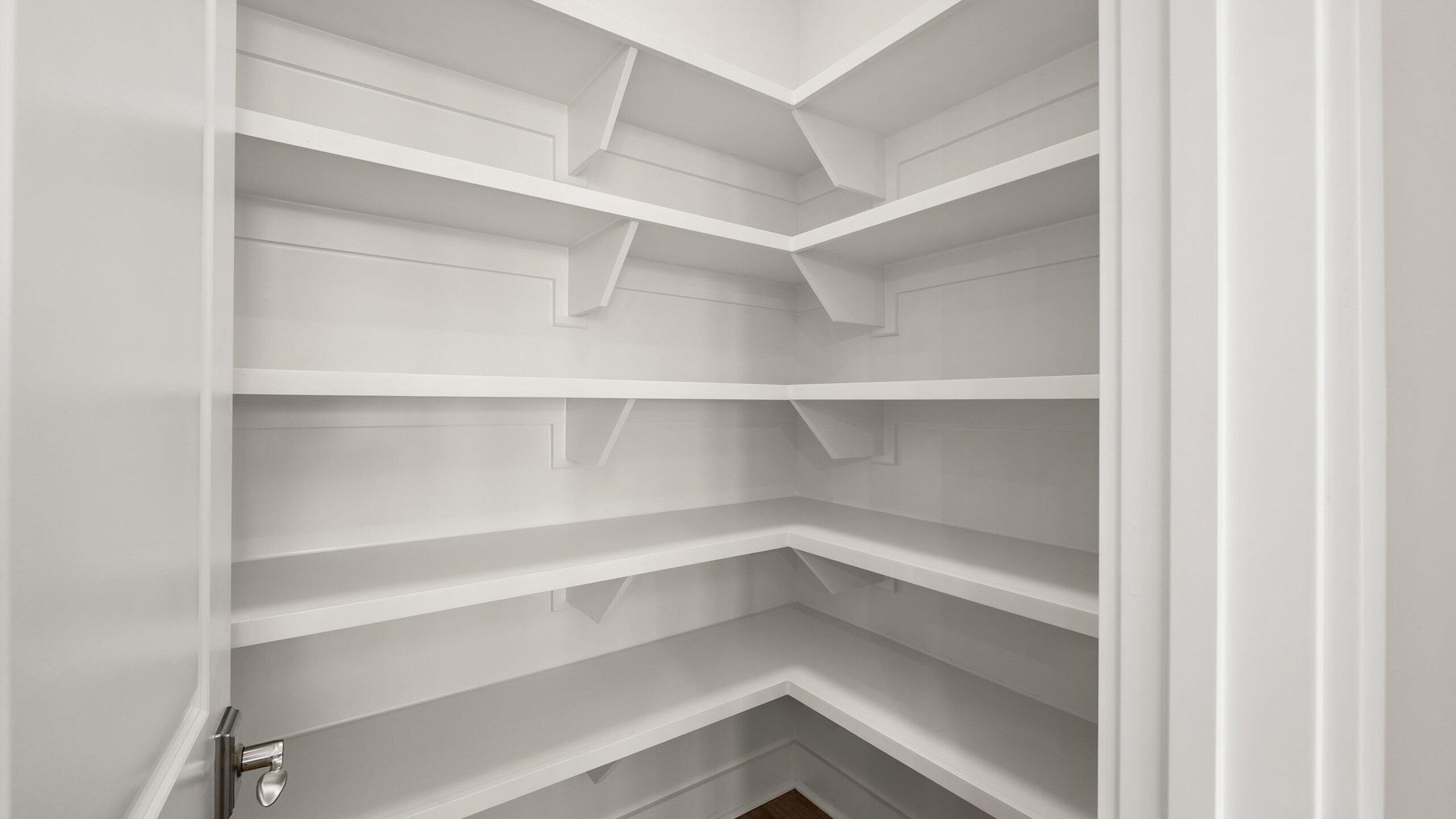 40 Dunns Circle Inlet Beach, FL 32461 - Photo 7 of 69 a view of walk in closet with empty racks