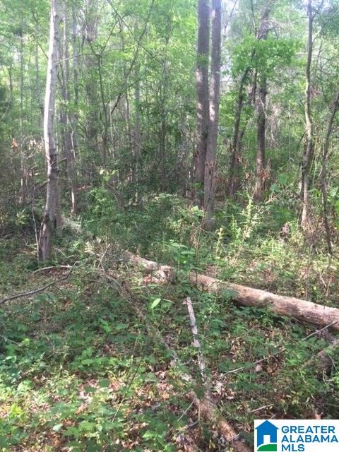 0 Mays Bend Road, Unit 26 Pell City, AL 35128 - Photo 6 of 16