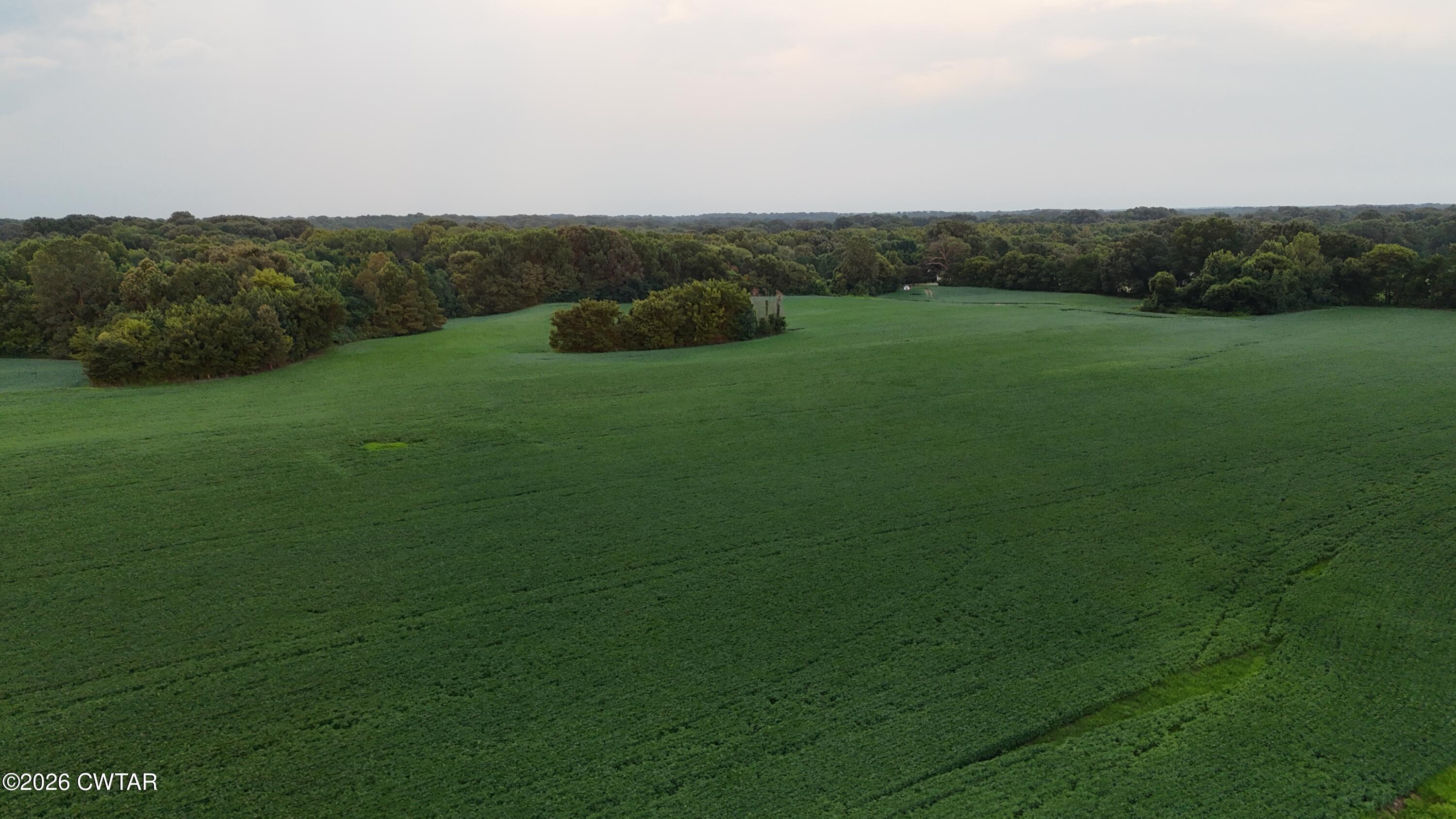 0 Cribbs Road Dyersburg, TN 38024 - Photo 9 of 10 dji_fly_20260701_200008_0945_17829568297