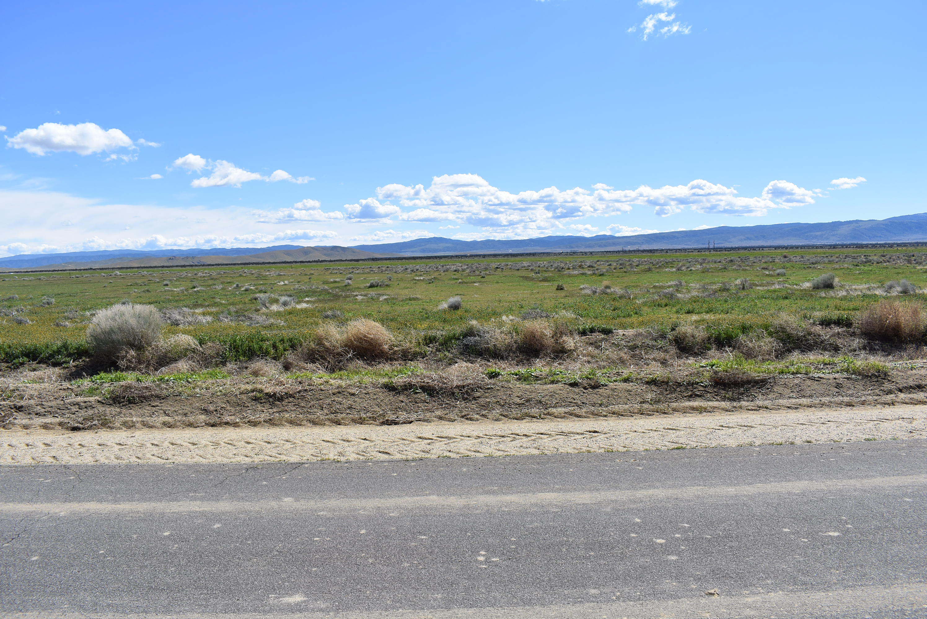 164 Stw Lancaster, CA 93536 - Photo 2 of 6 DSC_0574