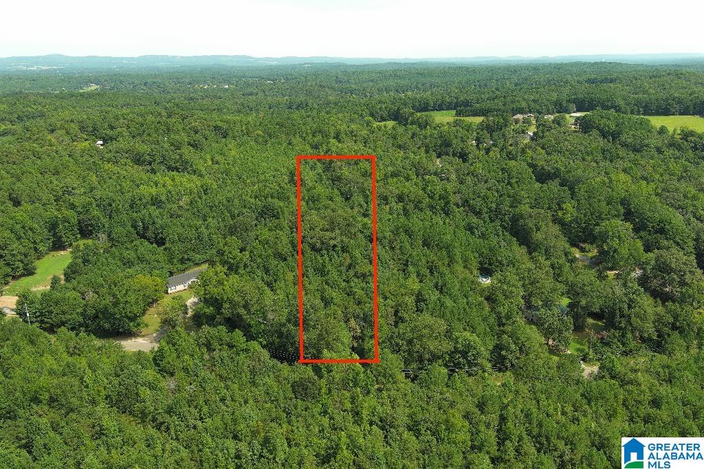 0 Tawbush Road, Unit 16 Trafford, AL 35172 - Photo 1 of 11