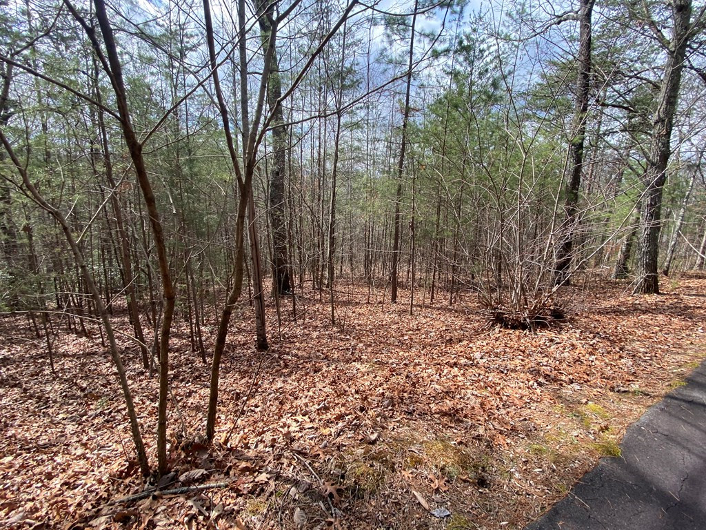 Lot 9 Turtle Ridge Trail Murphy, NC 28906 - Photo 5 of 10
