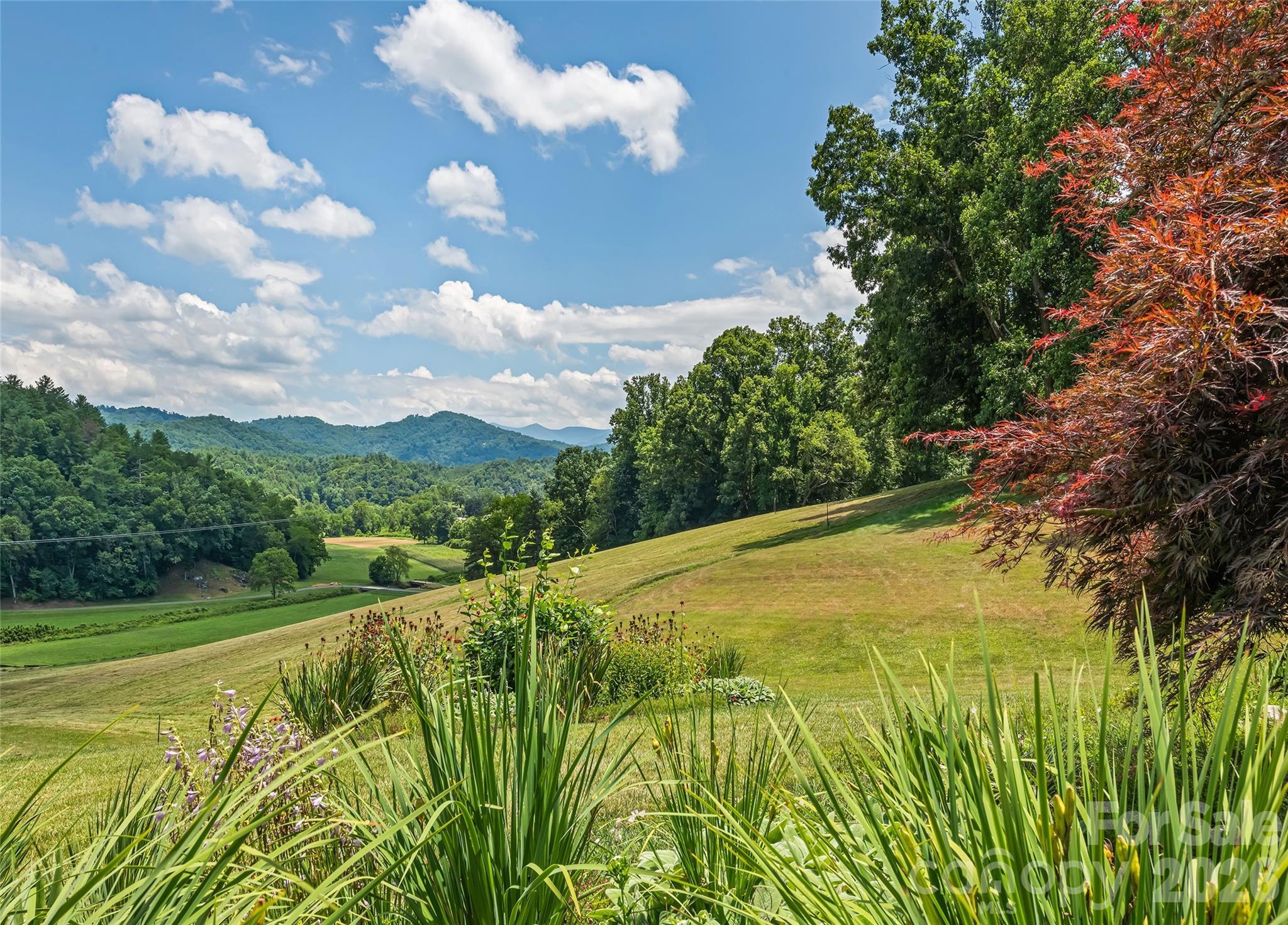 910 California Creek Road Mars Hill, NC 28754 - Photo 23 of 24