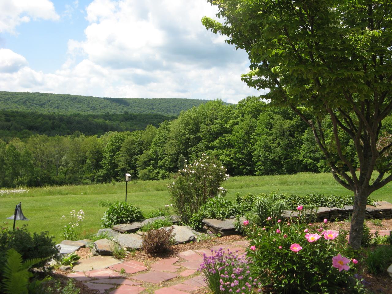 61 E Road Alford, MA 01266 - Photo 2 of 11 View