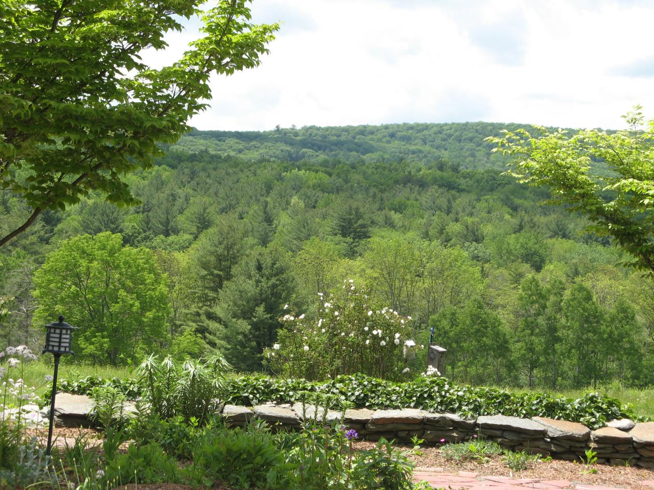 61 E Road Alford, MA 01266 - Photo 3 of 11 View