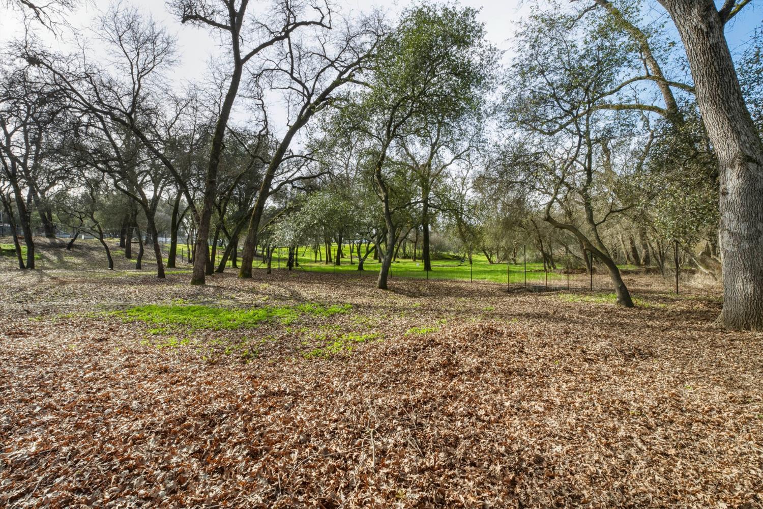 6348 Horseshoe Bar Road Loomis, CA 95650 - Photo 67 of 77