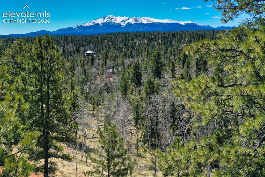 5542 N Road Divide, CO 80814 - Photo 20 of 50
