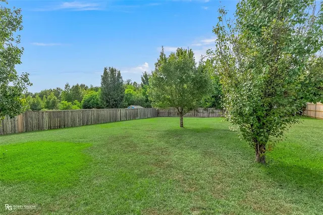 a view of a tree in a yard