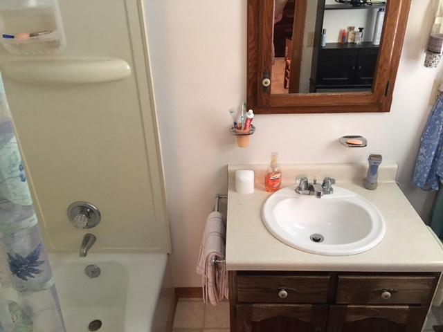 540 Back Valley Road Speedwell, TN 37870 - Photo 19 of 33 MASTER BATH