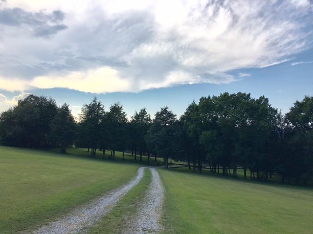 540 Back Valley Road Speedwell, TN 37870 - Photo 22 of 33 7 ACRES