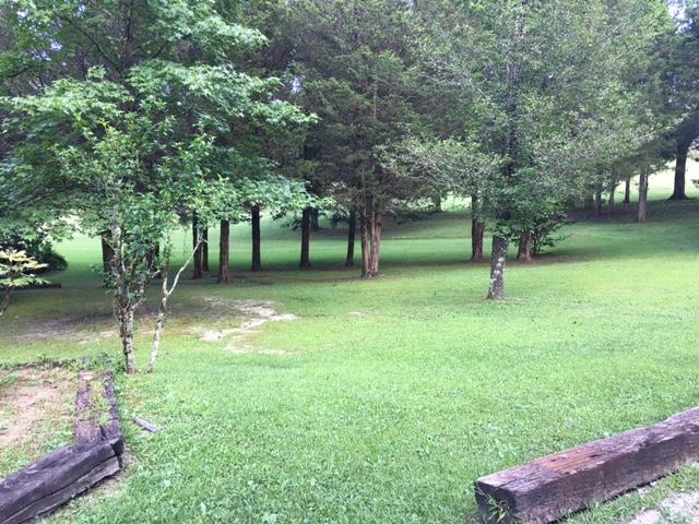 540 Back Valley Road Speedwell, TN 37870 - Photo 26 of 33 YARD