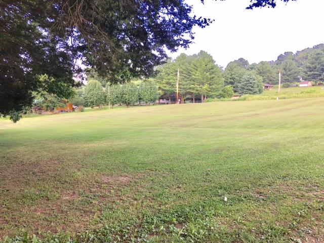 540 Back Valley Road Speedwell, TN 37870 - Photo 8 of 33 YARD