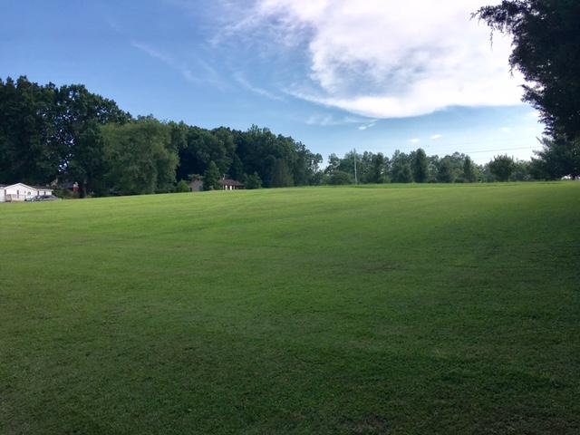540 Back Valley Road Speedwell, TN 37870 - Photo 10 of 33 BEAUTIFUL ACREAGE
