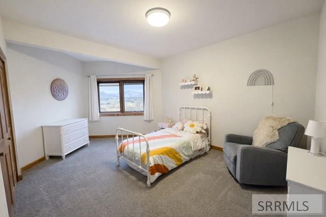 63 Mountain View Road Salmon, ID 83467 - Photo 40 of 54