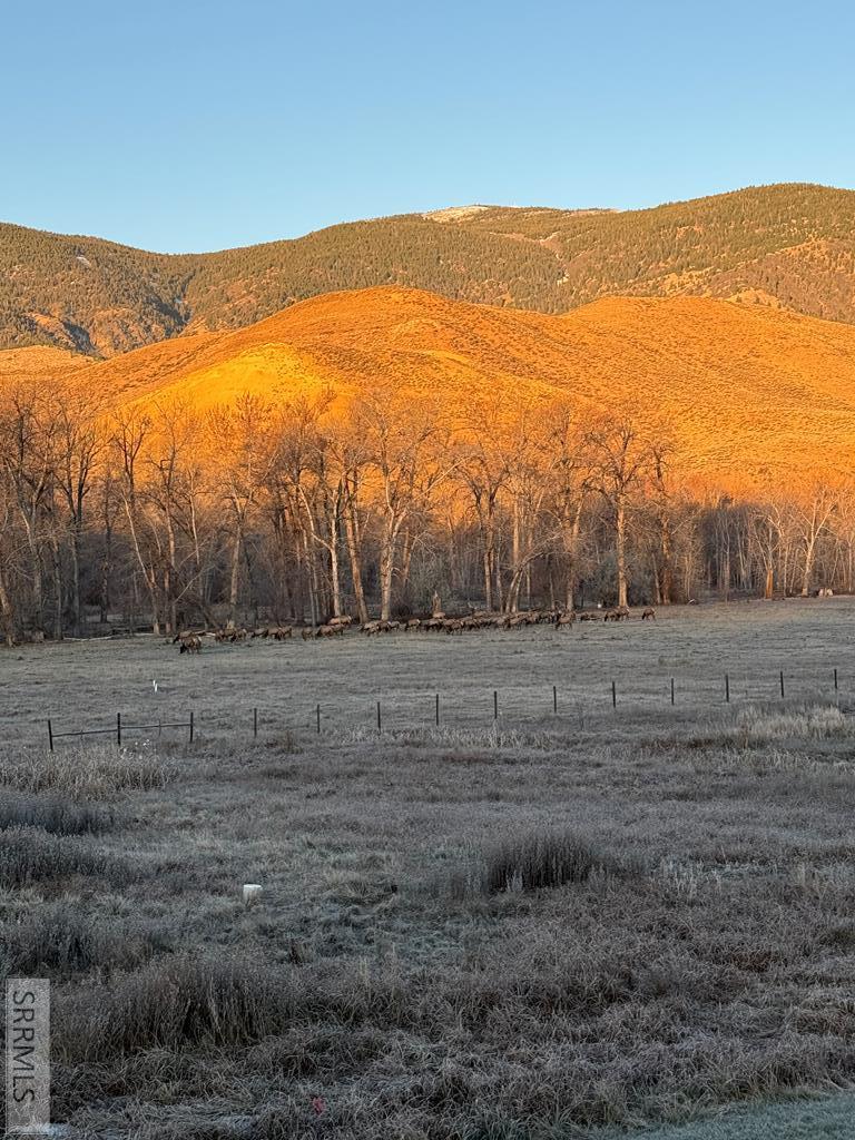 63 Mountain View Road Salmon, ID 83467 - Photo 49 of 54