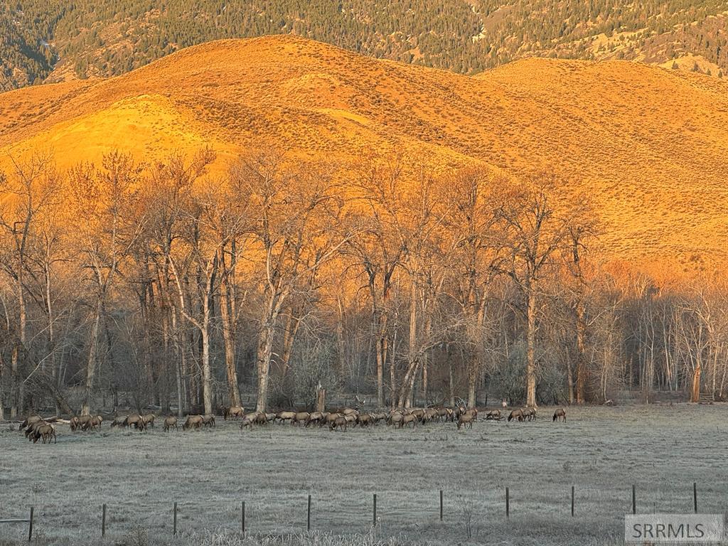 63 Mountain View Road Salmon, ID 83467 - Photo 50 of 54