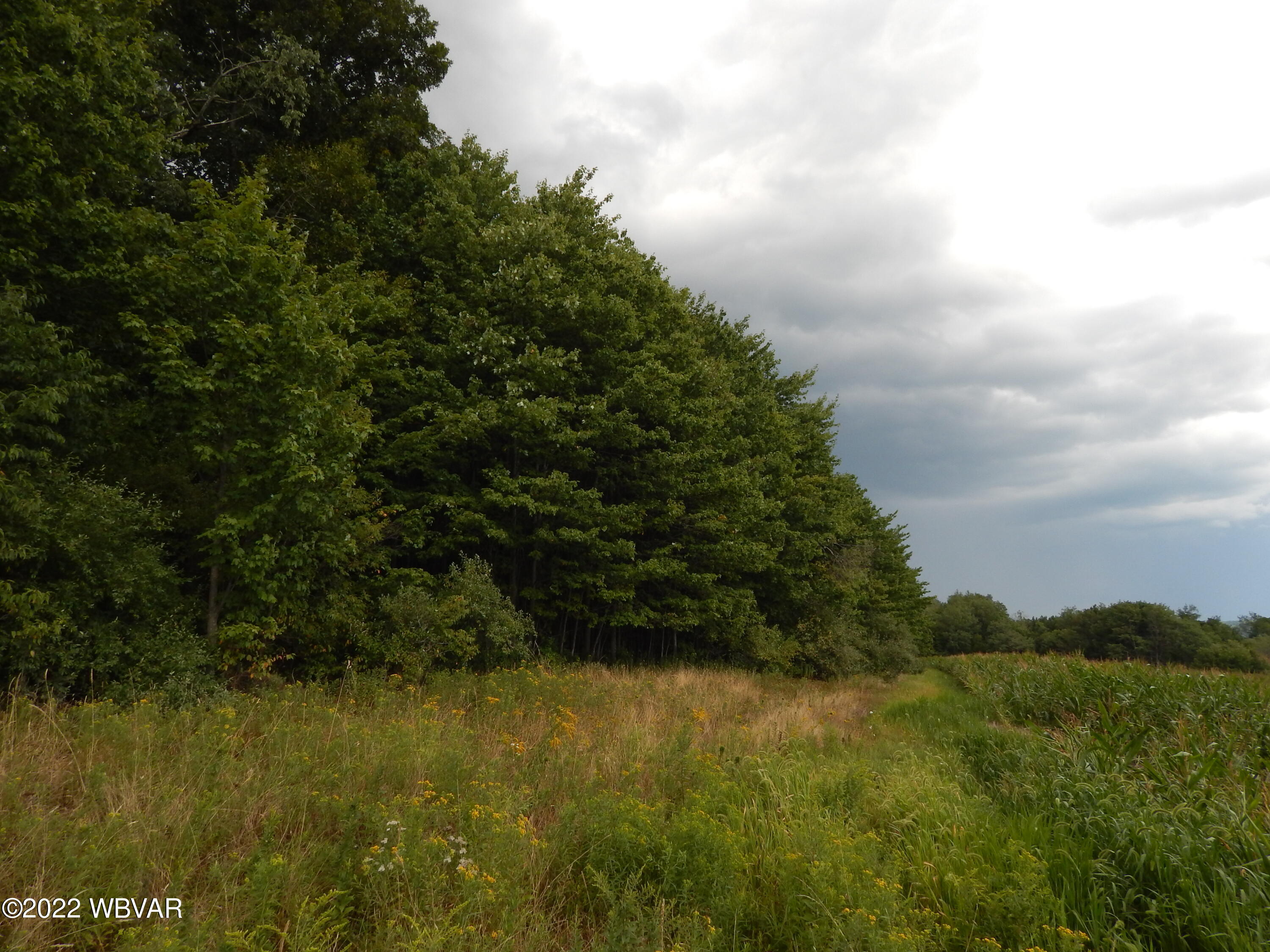 2375 Steam Valley Road Trout Run, PA 17771 - Photo 30 of 32 Gallery Image 30