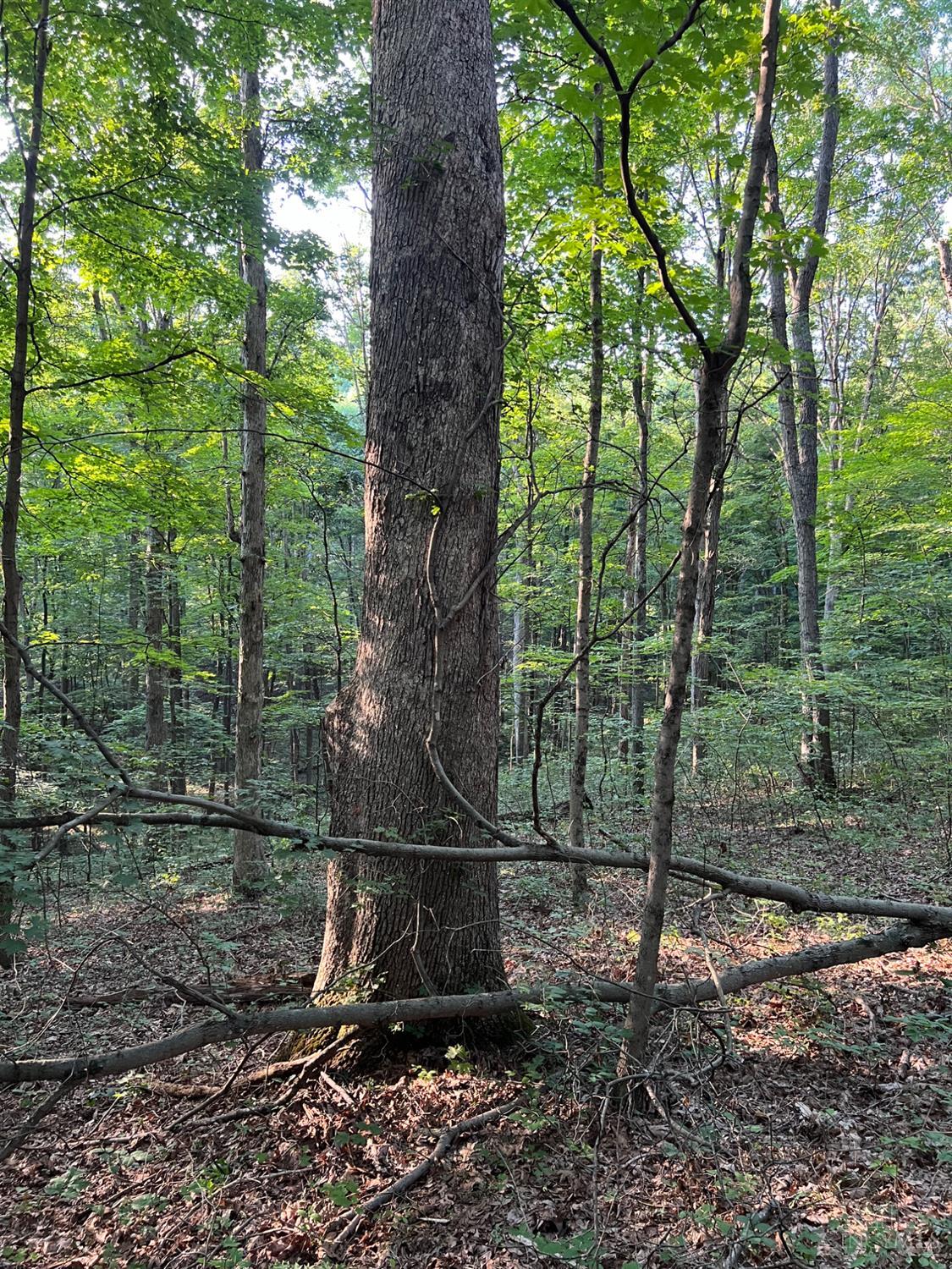0 Tabernacle Road Chillicothe, OH 45601 - Photo 48 of 64