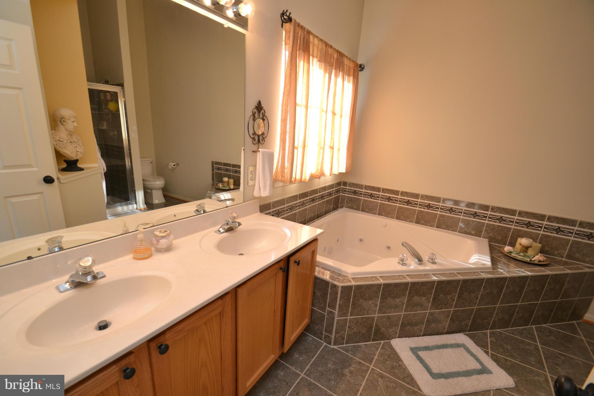 9003 Bealls Farm Road Frederick, MD 21704 - Photo 17 of 30 Bath (Master)