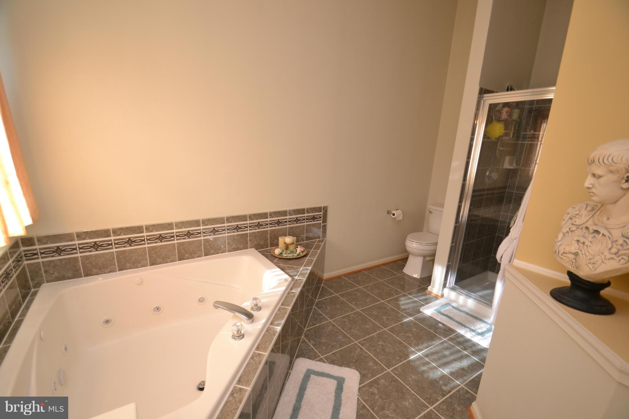 9003 Bealls Farm Road Frederick, MD 21704 - Photo 18 of 30 Bath (Master)