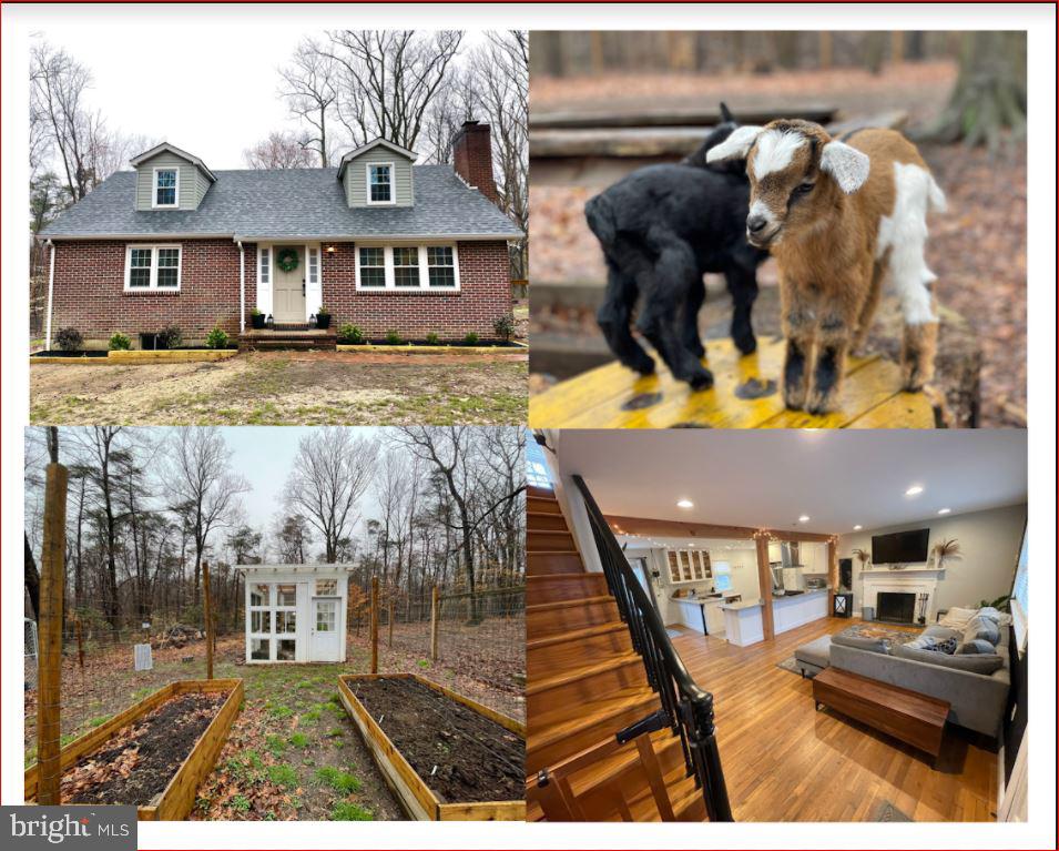 421 Tonys Road Elkton, MD 21921 - Photo 1 of 26
