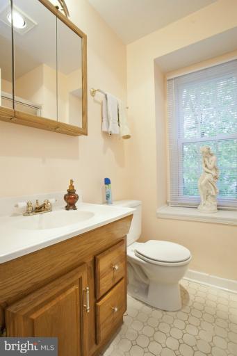306 Summit Hall Road Gaithersburg, MD 20877 - Photo 3 of 29 Bath (Master)