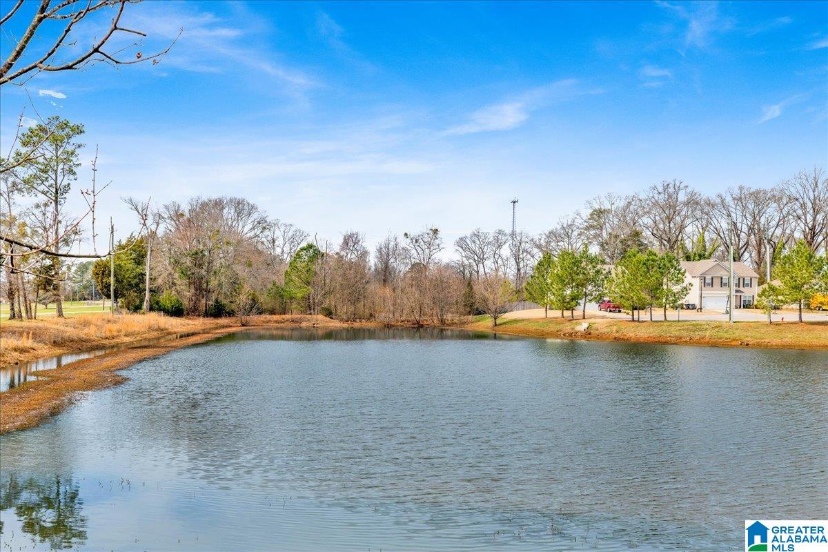 212 Waterstone Court Calera, AL 35040 - Photo 28 of 30