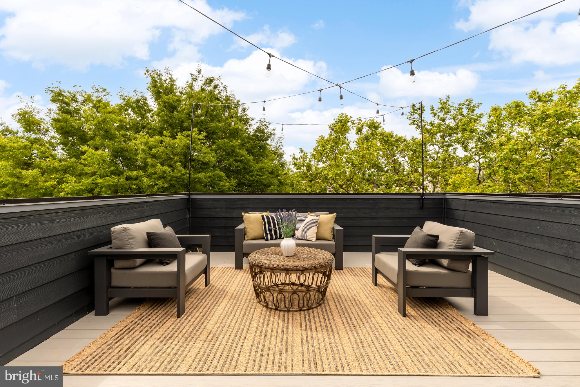 1325 Orren Street Northeast, Unit D Washington, DC 20002 - Photo 34 of 44 a roof deck with table and a potted plants