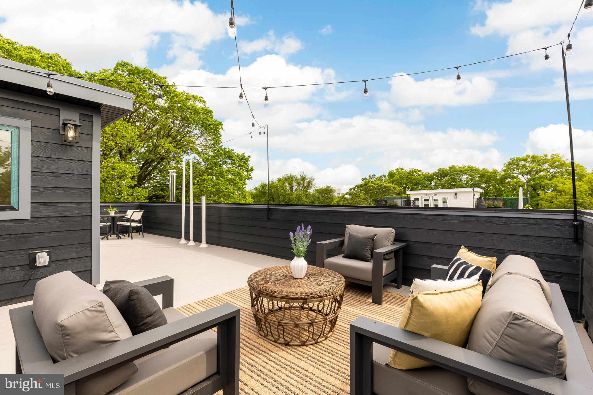 1325 Orren Street Northeast, Unit D Washington, DC 20002 - Photo 36 of 44 a roof deck with couches and potted plants