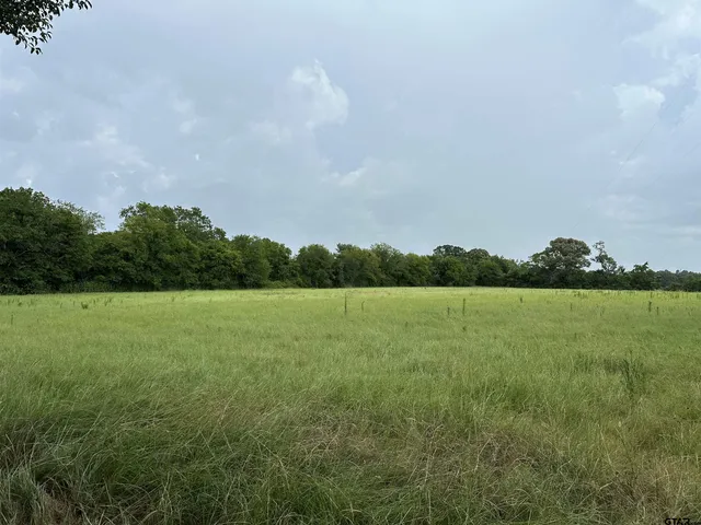 $399,000 | 3697 An County Road 309, Frankston, TX 75763