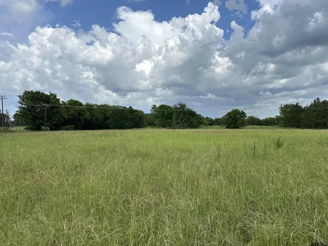 $399,000 | 3697 An County Road 309, Frankston, TX 75763