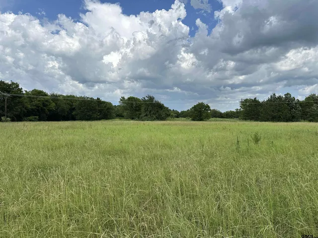 $399,000 | 3697 An County Road 309, Frankston, TX 75763