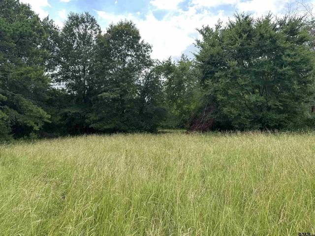 $399,000 | 3697 An County Road 309, Frankston, TX 75763