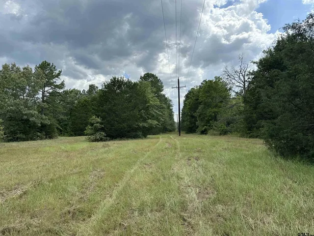 $399,000 | 3697 An County Road 309, Frankston, TX 75763