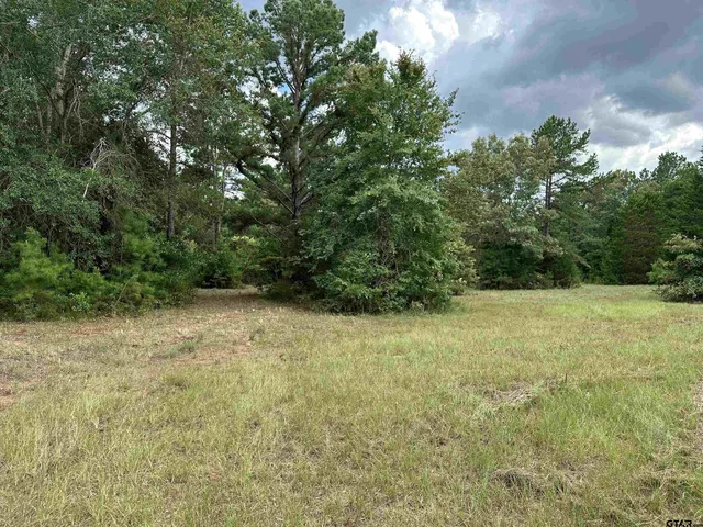 $399,000 | 3697 An County Road 309, Frankston, TX 75763