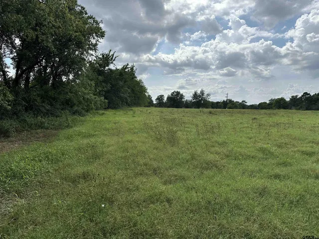 $399,000 | 3697 An County Road 309, Frankston, TX 75763