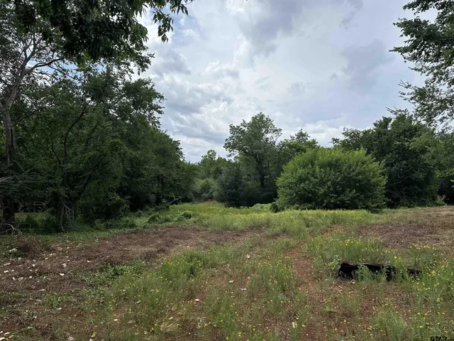 $399,000 | 3697 An County Road 309, Frankston, TX 75763