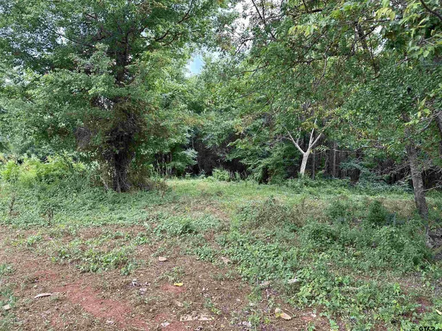 $399,000 | 3697 An County Road 309, Frankston, TX 75763