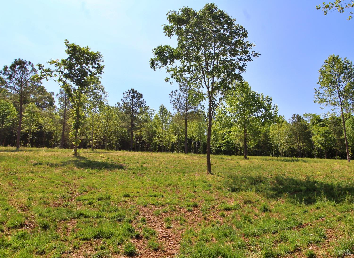 0 Tower Hill Road Appomattox, VA 24522 - Photo 11 of 11