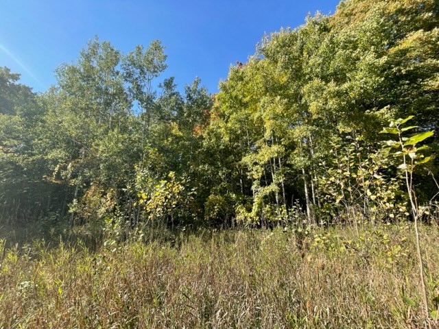 Old Lime Kiln Road Baileys Harbor, WI 54202 - Photo 7 of 14