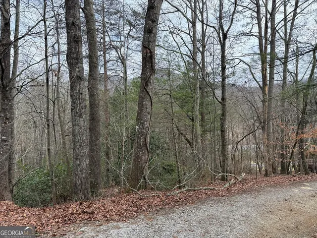 $27,500 | Lot 31 Ideal Acres, Otto, NC 28763