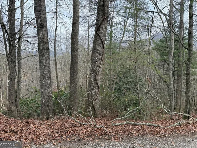 $27,500 | Lot 31 Ideal Acres, Otto, NC 28763